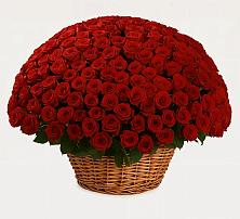 Премиум букет из: Розы в Осеево